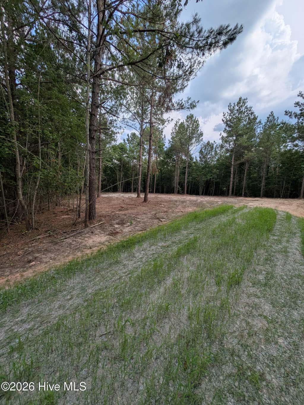 Photo of Tbd Peyton Drive, Eagle Springs, NC 27242 (MLS # 100591264)