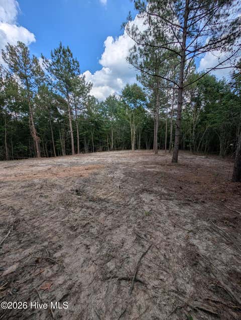 Vacant Land For Sale - TBD Peyton Drive<br/> Moore County, Eagle Springs, NC 27242