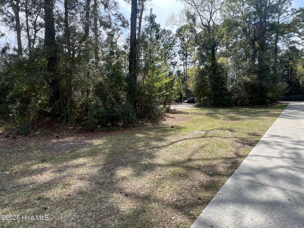 Photo of 4810 Collegiate Drive, Wilmington, NC 28403 (MLS # 100561404)