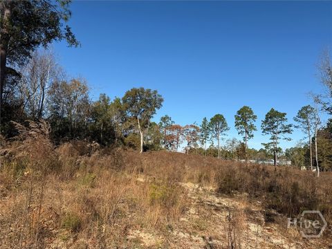 Vacant Land For Sale - Green Ridge Court<br/> Bulloch County, Statesboro, GA 30458