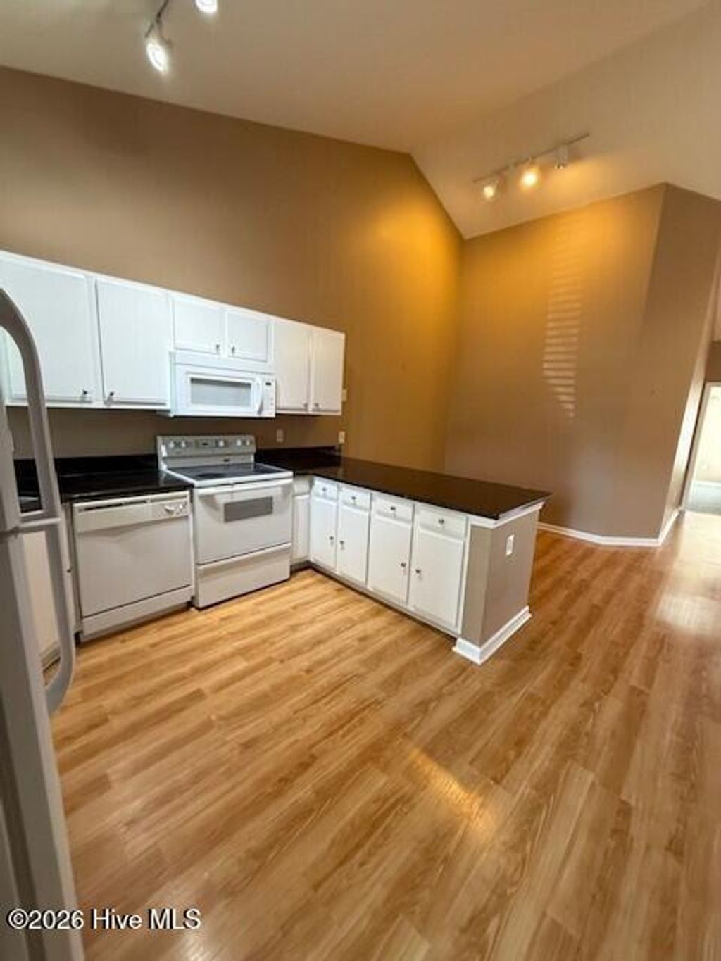 Photo of 228 Eucalyptus Lane, Wilmington, NC 28412 (MLS # 100561850)