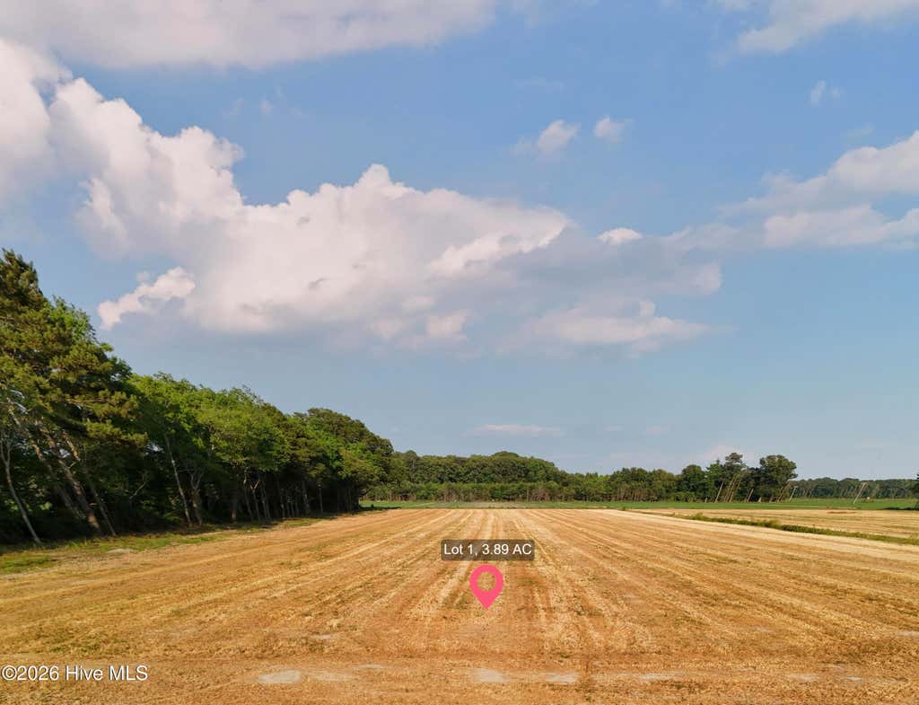 Photo of 216 Whitemon Lane, Edenton, NC 27932 (MLS # 100594872)