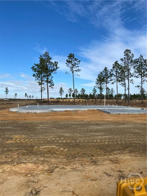 Photo of 219 Manchester Drive, Statesboro, GA 30461 (MLS # SA344460)