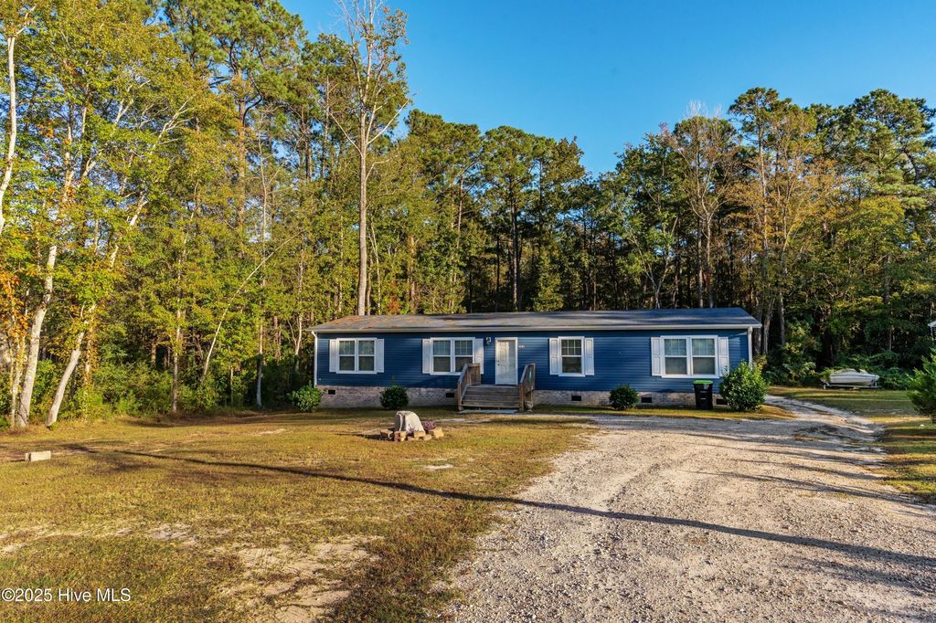 Photo of 162 Sandy Creek Drive, Leland, NC 28451 (MLS # 100538120)