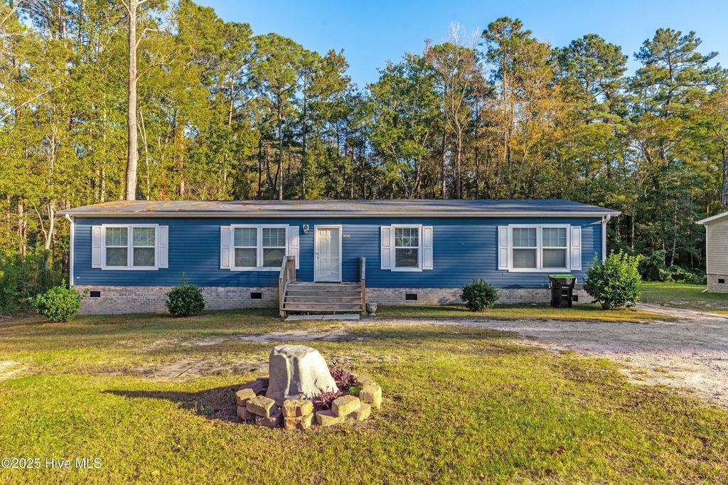 Photo of 162 Sandy Creek Drive, Leland, NC 28451 (MLS # 100538120)