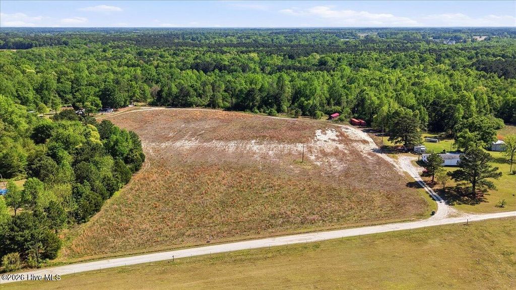 Photo of 209 Buggy Street, Pikeville, NC 27863 (MLS # 100567013)