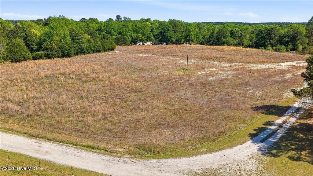 Photo of 209 Buggy Street, Pikeville, NC 27863 (MLS # 100567013)