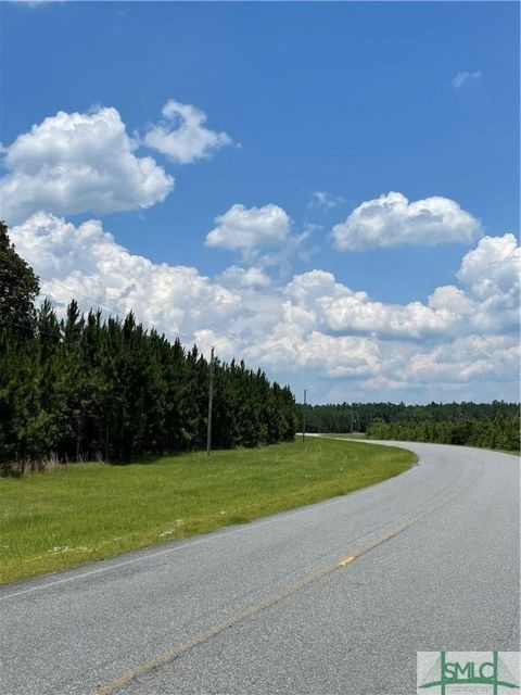 0 RAHN STATION Road Springfield GA 31329