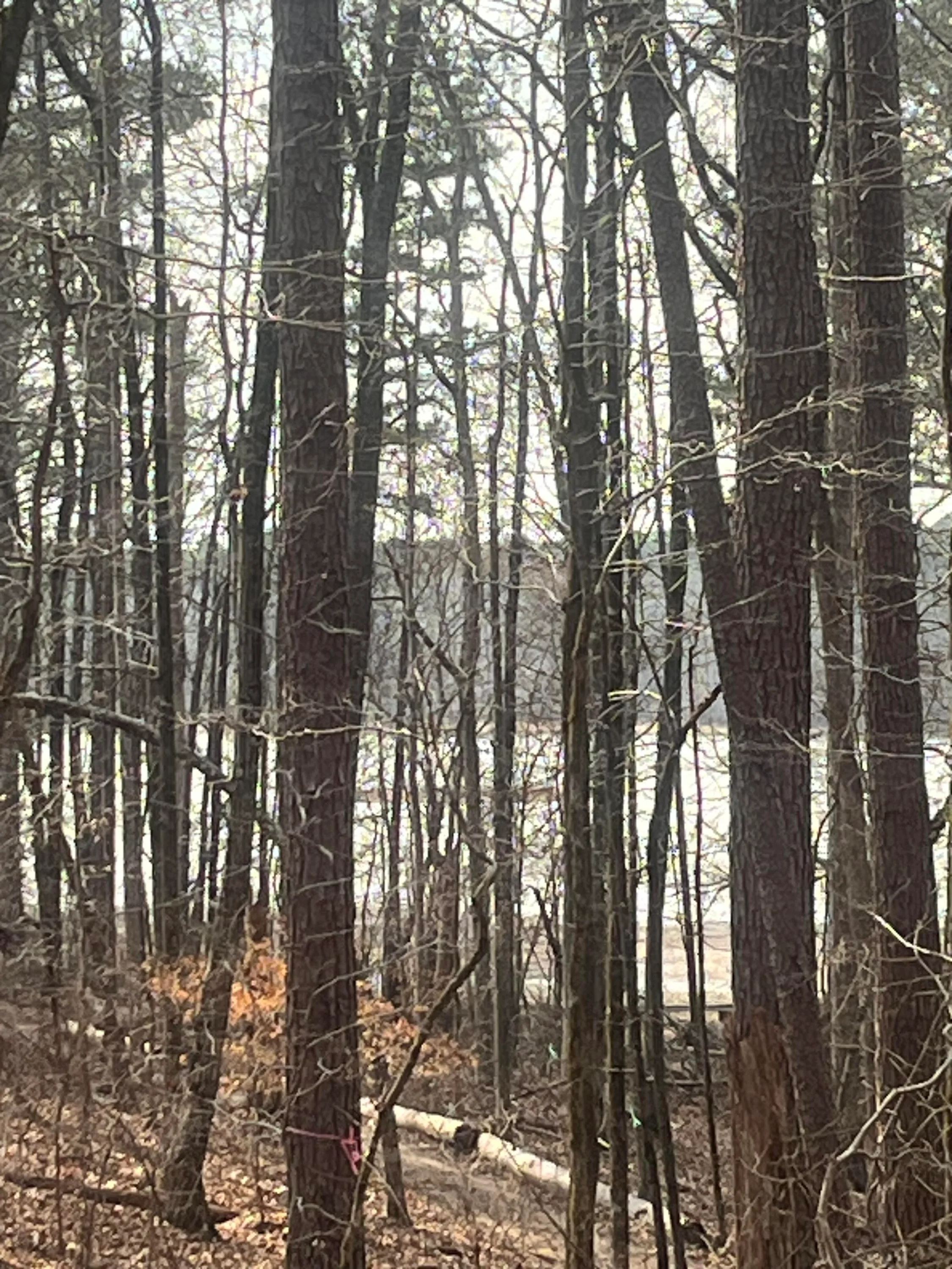 1249 Lakeshore Estates Drive