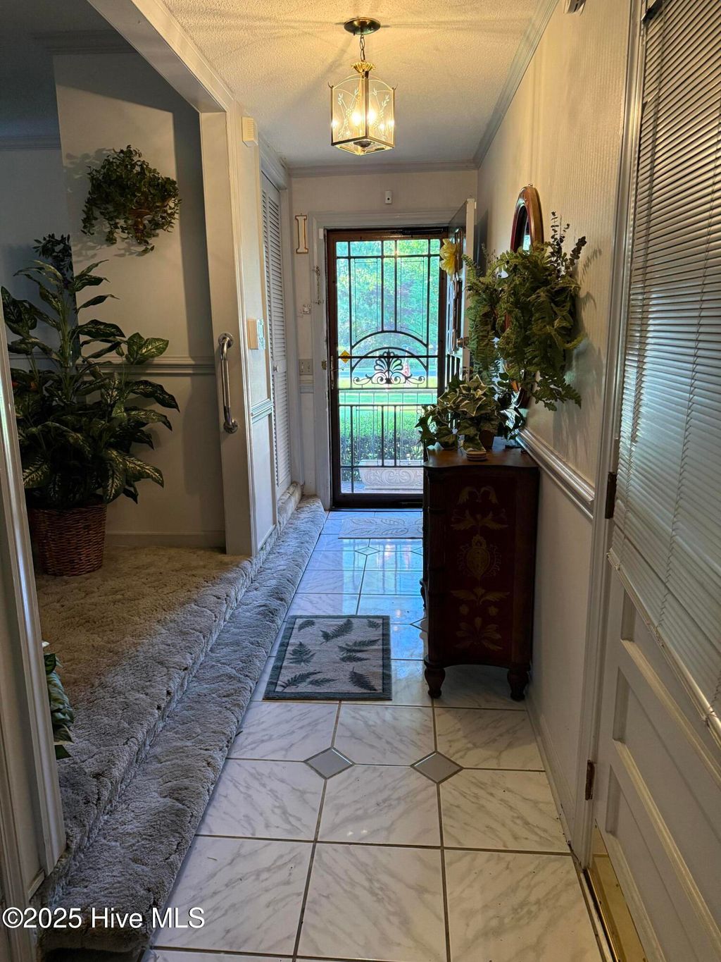 Photo of 604 Eleanor Street, Greenville, NC 27858 (MLS # 100546960)