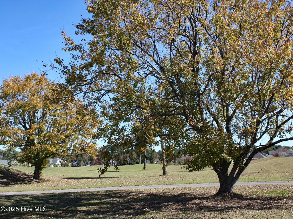 Photo of 7000 Bloomsbury Court SW, Ocean Isle Beach, NC 28469 (MLS # 100539568)