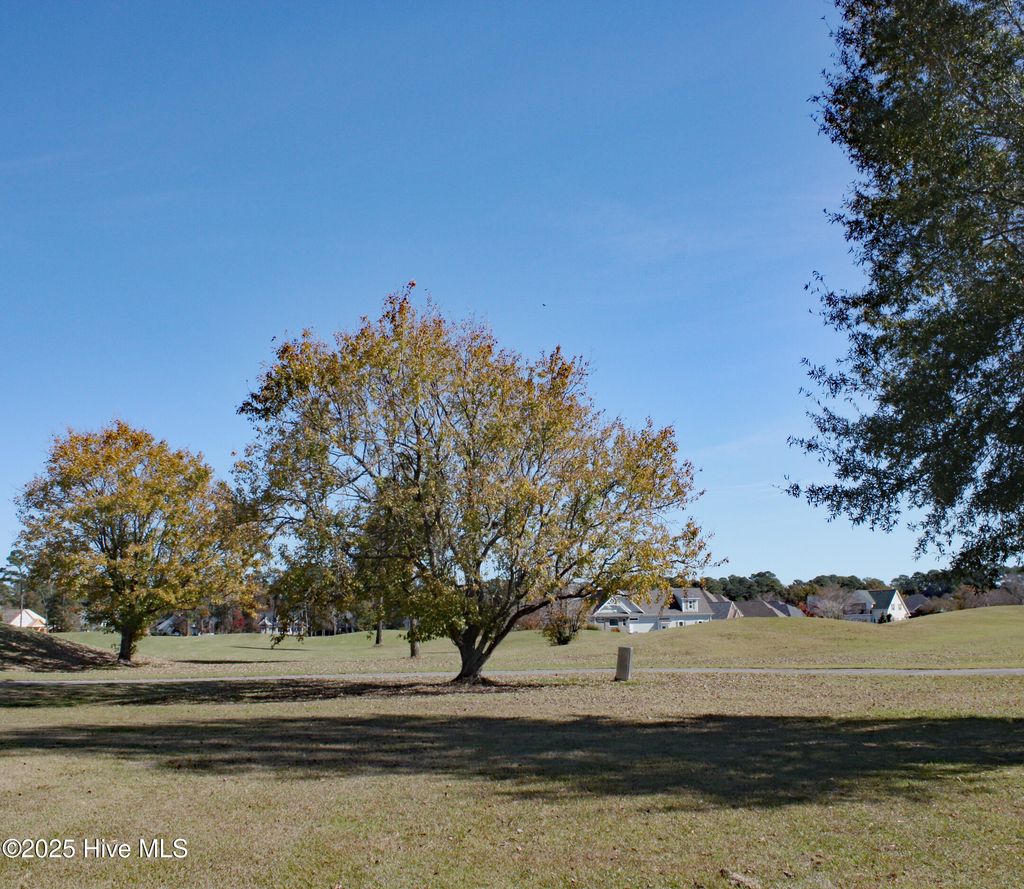 Photo of 7000 Bloomsbury Court SW, Ocean Isle Beach, NC 28469 (MLS # 100539568)