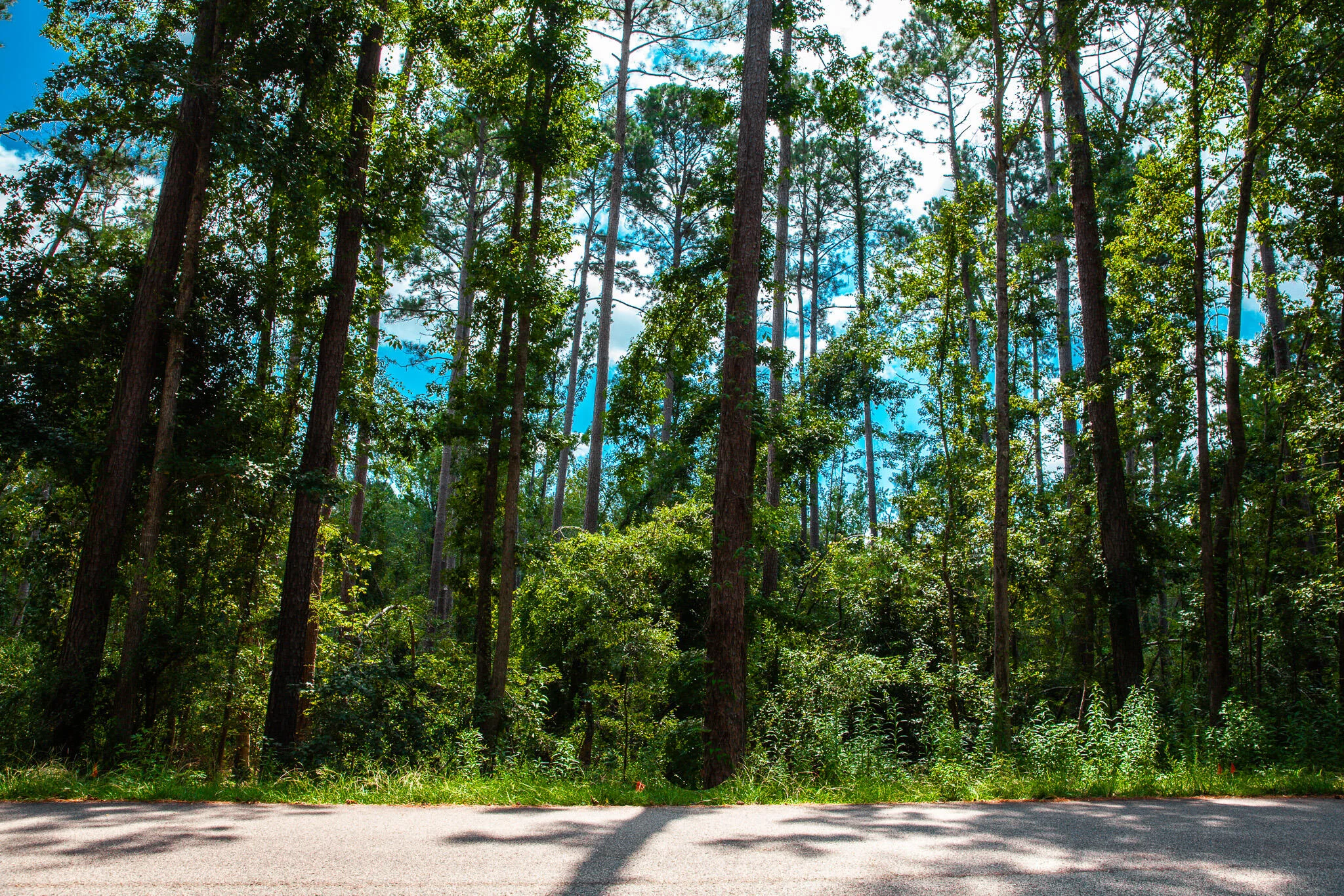 Lot 3 Furey Drive