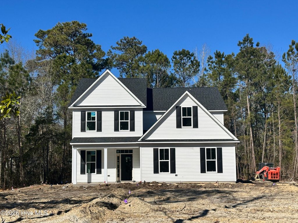 Photo of 227 Hickory Lane, Hampstead, NC 28443 (MLS # 100542700)