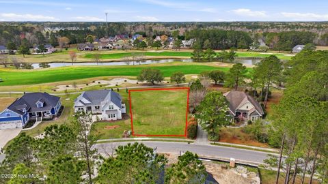 Photo of 393 Autumn Pheasant Loop NW, Calabash, NC 28467 (MLS # 100560624)