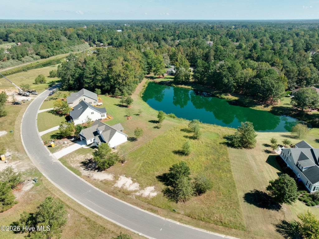 Photo of 153 Sycamore Lakes Drive, Wallace, NC 28466 (MLS # 100609239)