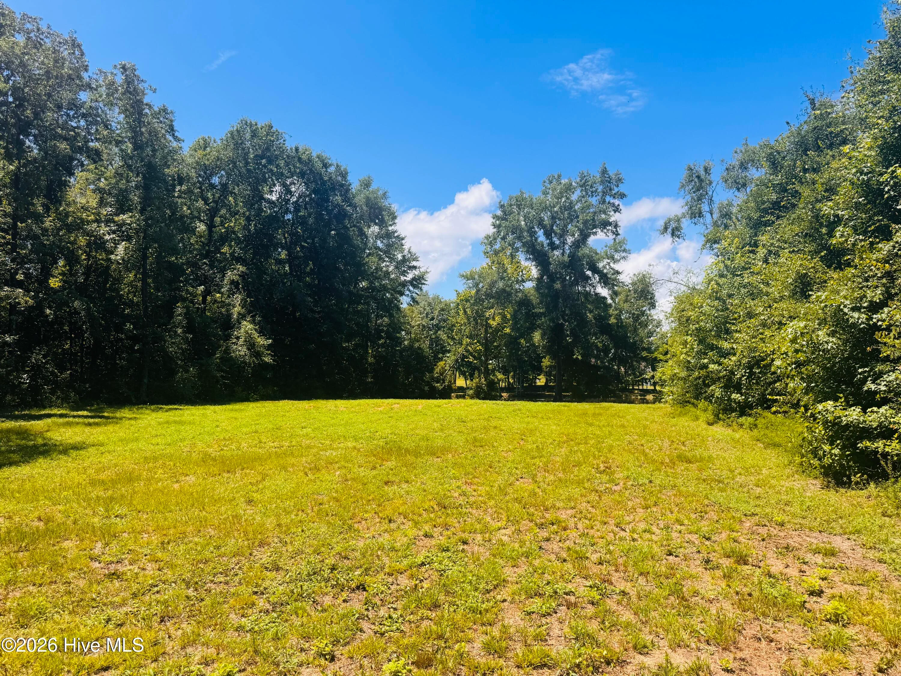 1042 Lake Cadeli Road, Bartow, GA, 30413