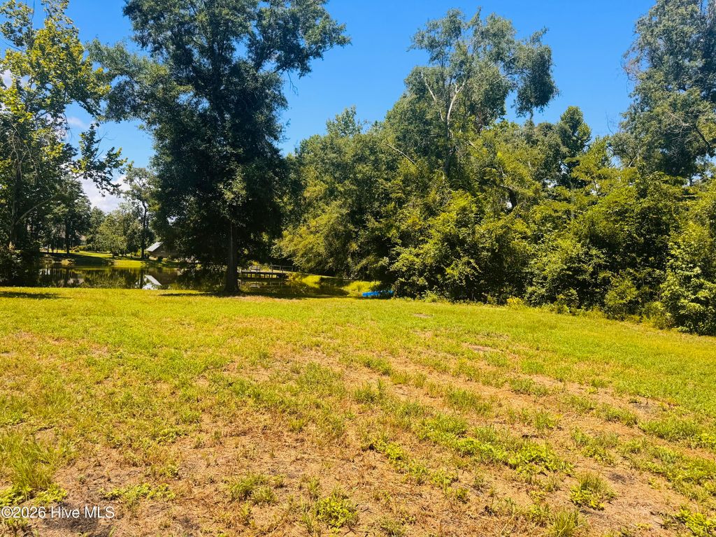 Photo of 1042 Lake Cadeli Road, Bartow, GA 30413 (MLS # 100589259)