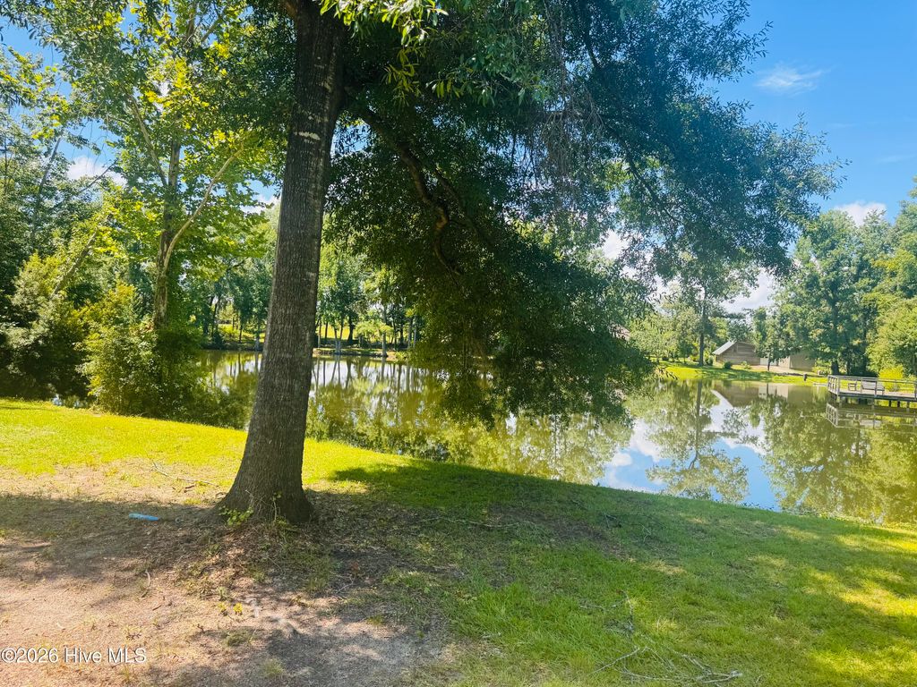 Photo of 1042 Lake Cadeli Road, Bartow, GA 30413 (MLS # 100589259)