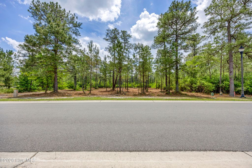 Photo of 9632 Fallen Pear Lane NE, Leland, NC 28451 (MLS # 100577678)
