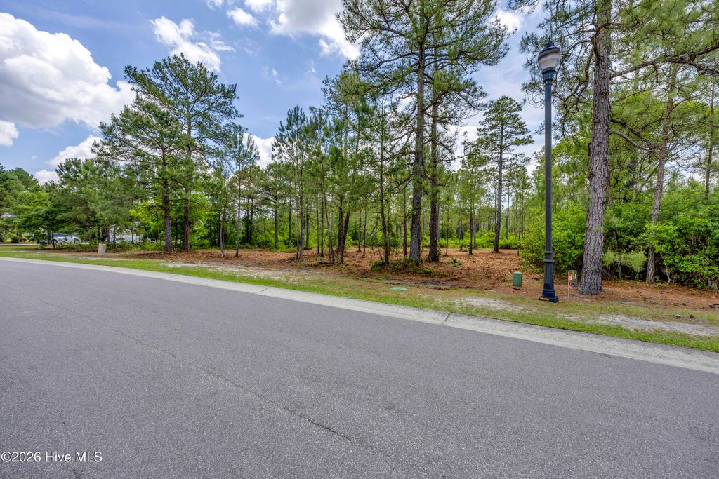 Photo of 9632 Fallen Pear Lane NE, Leland, NC 28451 (MLS # 100577678)