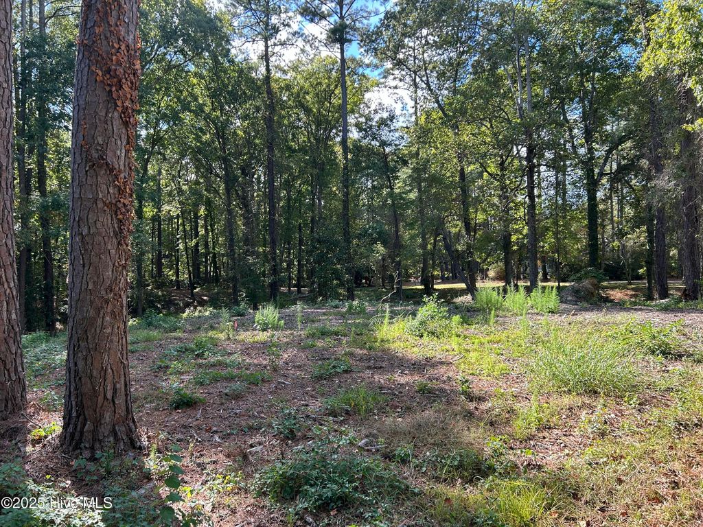 Photo of 101 Hillside Drive, Washington, NC 27889 (MLS # 100517648)