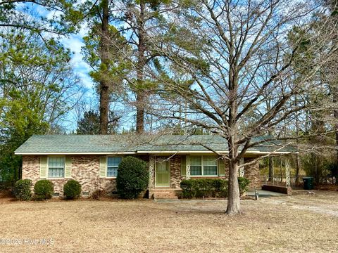 Photo of 11401 Purcell Road, Laurinburg, NC 28352 (MLS # 100553607)