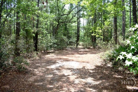 Vacant Land For Sale - 2650 N Hwy 119<br/> Ellabell, GA 31308