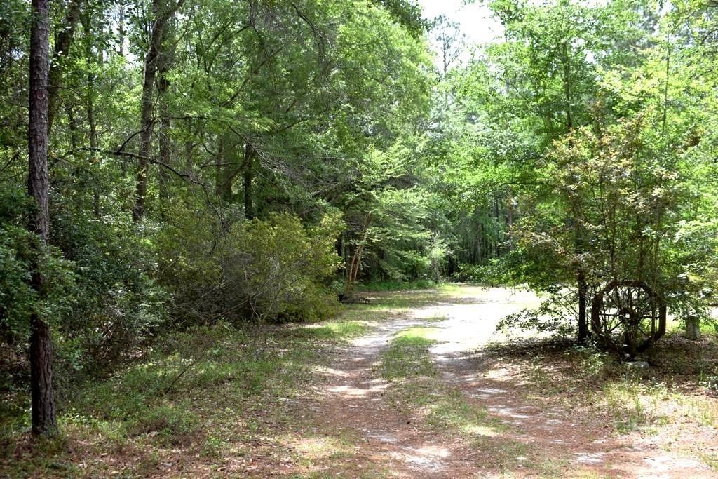 Photo of 2650 N Hwy 119, Ellabell, GA 31308 (MLS # SA356887)