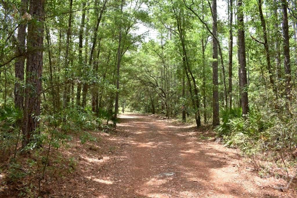 Photo of 2650 N Hwy 119, Ellabell, GA 31308 (MLS # SA356887)