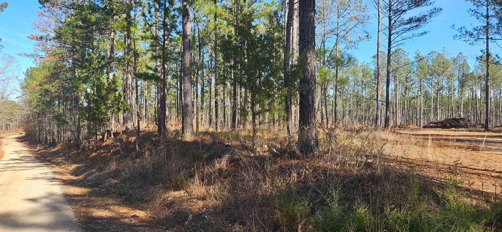 Photo of 1 Smith Chapel Road, Lincolnton, GA 30817 (MLS # 550419)