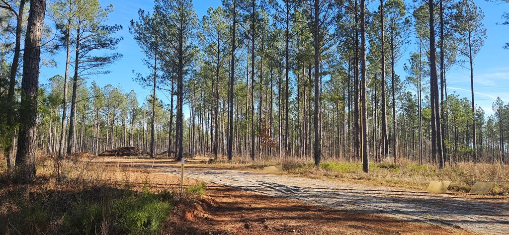 Photo of 1 Smith Chapel Road, Lincolnton, GA 30817 (MLS # 550419)