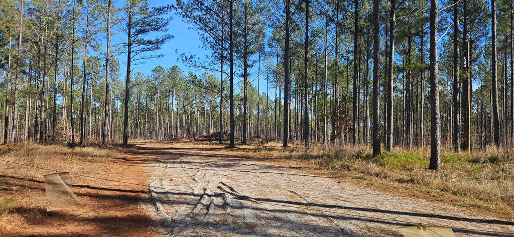 Photo of 1 Smith Chapel Road, Lincolnton, GA 30817 (MLS # 550419)