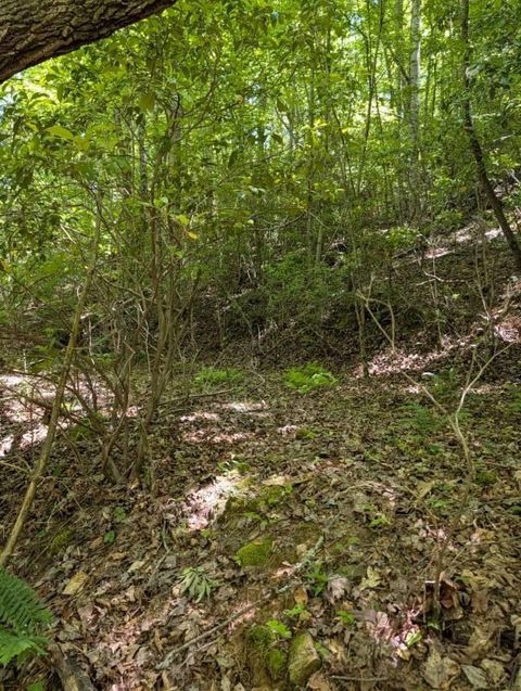 Vacant Land For Sale - 00 Talc Mine Road<br/> Murphy, NC 28906