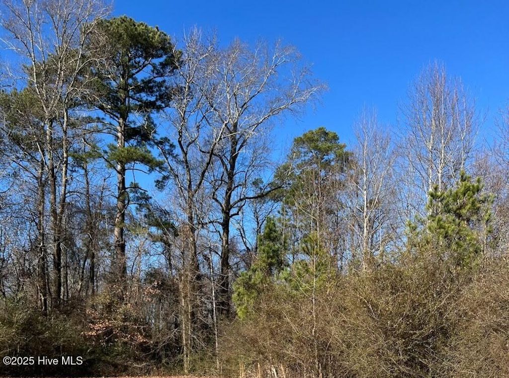 Photo of 227 Langley Road, Chocowinity, NC 27817 (MLS # 100546184)