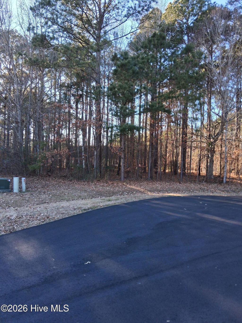 Photo of 14 Newbegun Creek Court, Hertford, NC 27944 (MLS # 100549012)