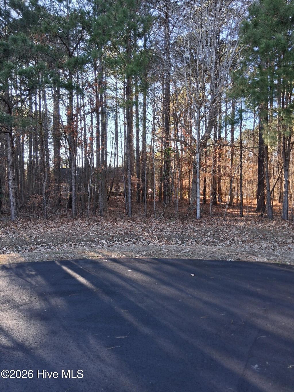 Photo of 14 Newbegun Creek Court, Hertford, NC 27944 (MLS # 100549012)