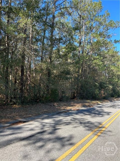 Vacant Land For Sale - LOT 4 Palm Island Drive<br/> Liberty County, Midway, GA 31320