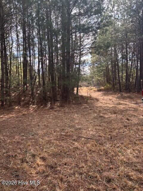 10 Acres Scott Road Pollocksville NC 28573