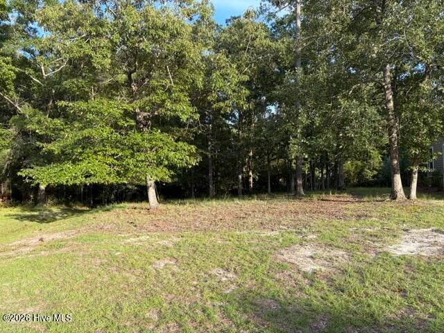 Photo of 1579 Golden Marsh Court SE, Bolivia, NC 28422 (MLS # 100607914)