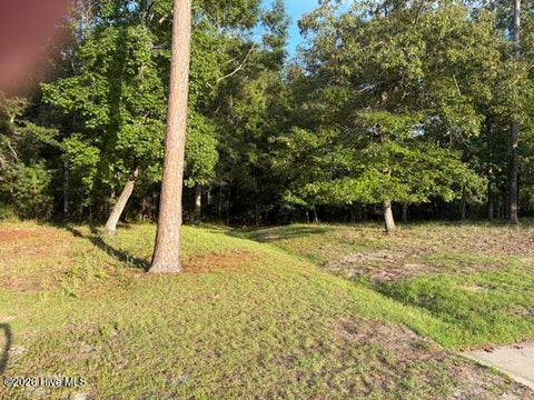 Tiny photo for 1579 Golden Marsh Court SE, Bolivia, NC 28422 (MLS # 100607914)