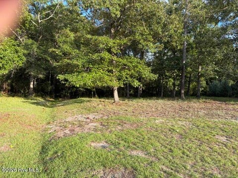 Tiny photo for 1579 Golden Marsh Court SE, Bolivia, NC 28422 (MLS # 100607914)