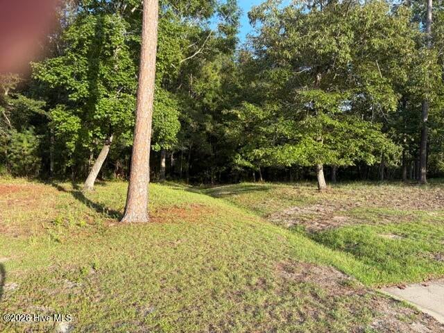 Photo of 1579 Golden Marsh Court SE, Bolivia, NC 28422 (MLS # 100607914)
