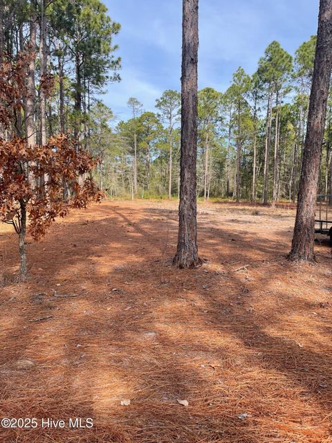 Vacant Land For Sale - 130 Bay Ridge Road<br/> Bladen County, Harrells, NC 28444