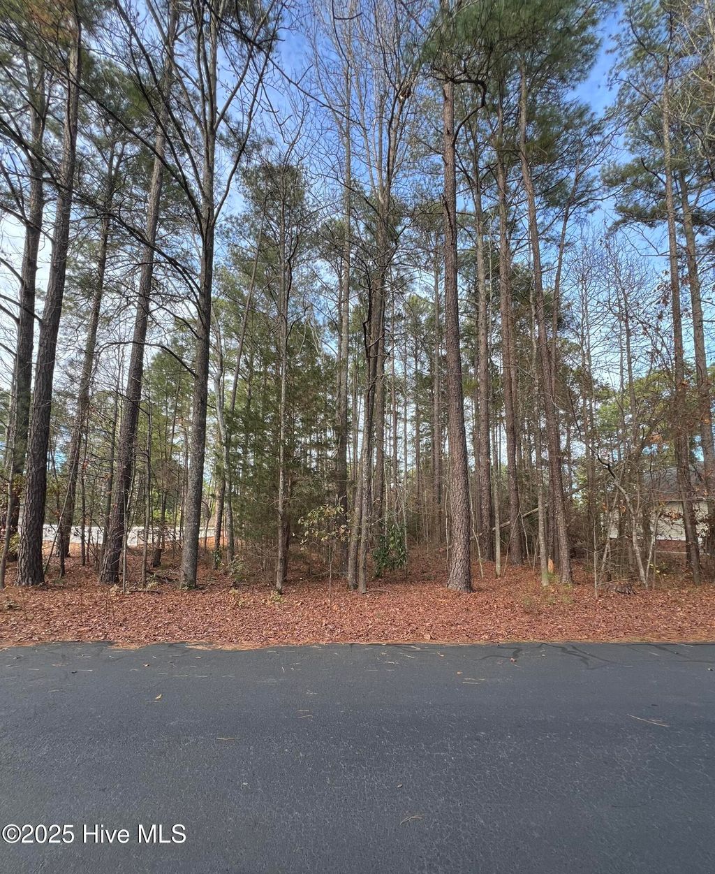 Photo of 159 Laurel Oak Lane, Pinebluff, NC 28373 (MLS # 100545129)