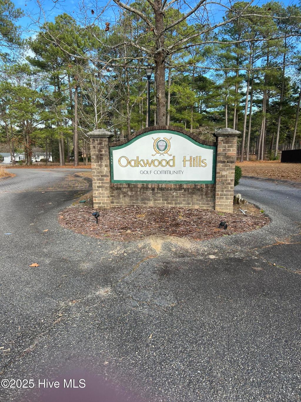 Photo of 159 Laurel Oak Lane, Pinebluff, NC 28373 (MLS # 100545129)