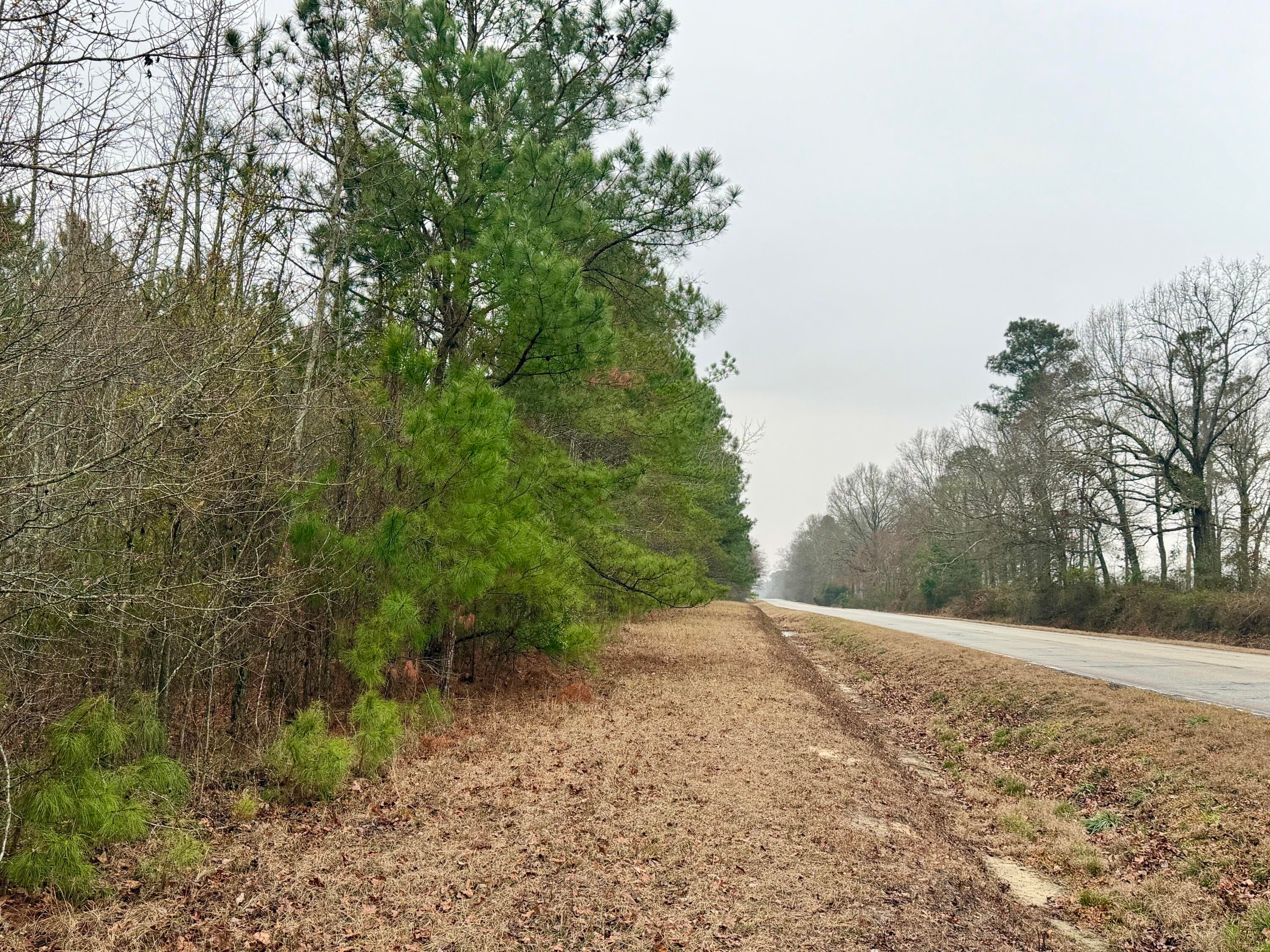 19.3 Acres Ga-305