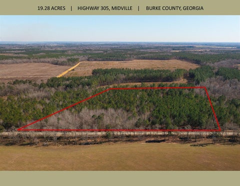 Vacant Land For Sale - 19.3 ACRES Ga-305<br/> Midville, GA 30441
