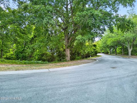 Tiny photo for 207 Joshuas Way, Southport, NC 28461 (MLS # 100571715)