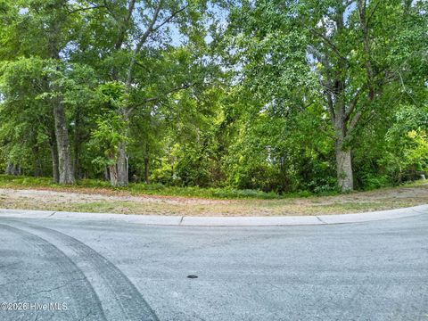 Tiny photo for 207 Joshuas Way, Southport, NC 28461 (MLS # 100571715)